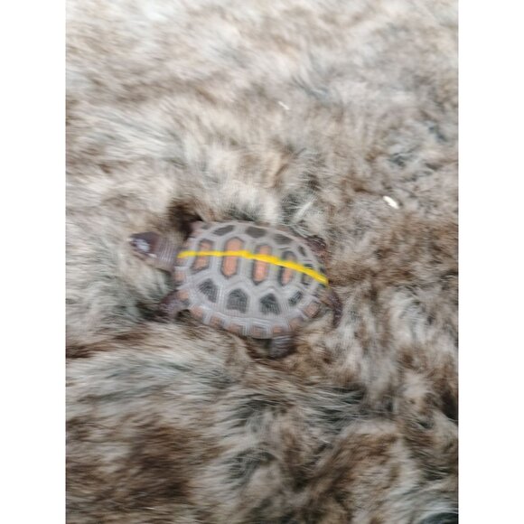 Miniature Plastic Turtle Figurine With Yellow Stripe Realistic Design - Picture 2 of 6